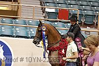 10yn-22203 thumbnail