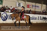 10yn-16171 thumbnail