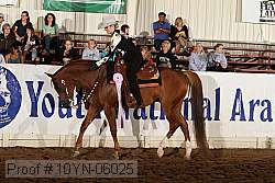 10yn-06025 thumbnail