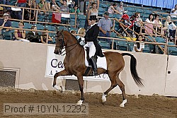 10yn-12292 thumbnail