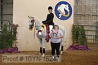 10yn-16247 thumbnail