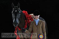 10yn-27689 thumbnail