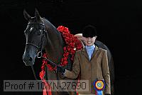 10yn-27690 thumbnail