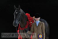 10yn-27691 thumbnail