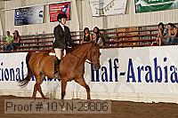 10yn-29806 thumbnail