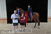 10yn-31228 thumbnail