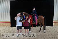 10yn-31230 thumbnail