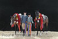 10yn-32116 thumbnail