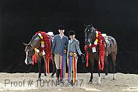 10yn-32117 thumbnail