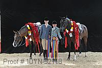 10yn-32118 thumbnail