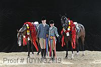 10yn-32119 thumbnail