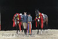 10yn-32120 thumbnail
