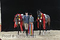 10yn-32121 thumbnail