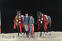 10yn-32122 thumbnail