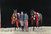 10yn-32123 thumbnail