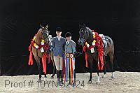 10yn-32124 thumbnail