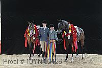10yn-32126 thumbnail