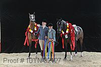 10yn-32127 thumbnail