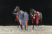10yn-32128 thumbnail