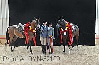 10yn-32129 thumbnail