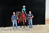 10yn-32354 thumbnail