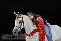 10yn-32509 thumbnail