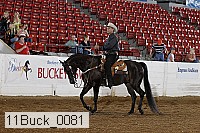 11buck_0081 thumbnail