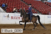 11buck_0099 thumbnail