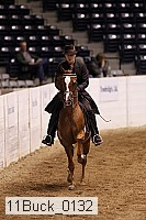 11buck_0132 thumbnail