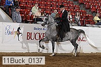 11buck_0137 thumbnail