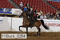 11buck_0284 thumbnail