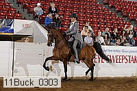 11buck_0303 thumbnail