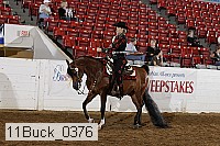 11buck_0376 thumbnail