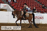 11buck_0377 thumbnail