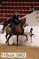 11buck_0452 thumbnail