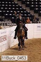 11buck_0453 thumbnail
