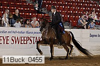 11buck_0455 thumbnail