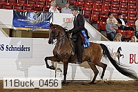 11buck_0456 thumbnail