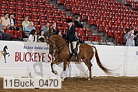 11buck_0470 thumbnail