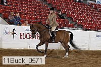 11buck_0571 thumbnail