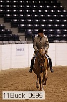 11buck_0595 thumbnail