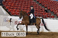 11buck_0610 thumbnail