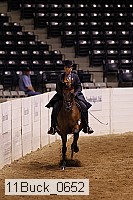 11buck_0652 thumbnail