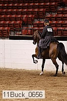 11buck_0656 thumbnail