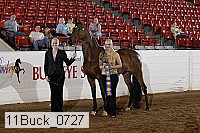 11buck_0727 thumbnail