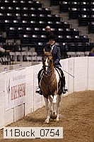 11buck_0754 thumbnail