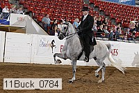11buck_0784 thumbnail