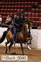 11buck_0840 thumbnail