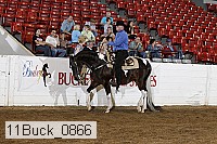 11buck_0866 thumbnail