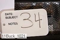 11buck_1021 thumbnail